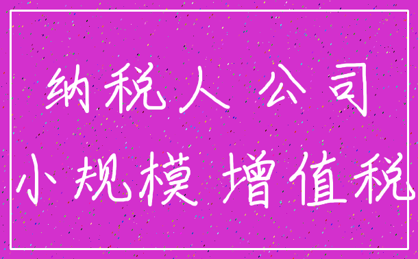 纳税人 公司_小规模 增值税