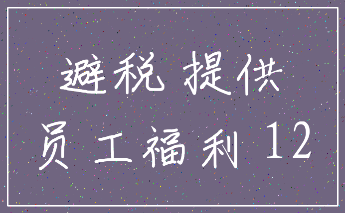 避税 提供_员工福利 12