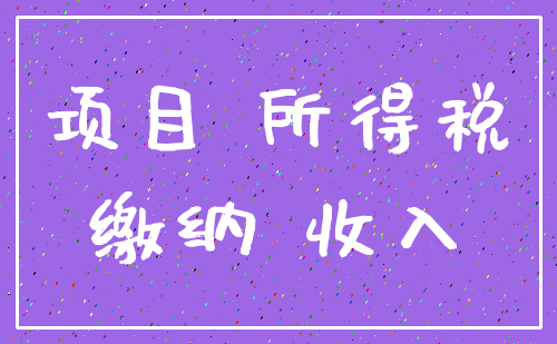 项目 所得税_缴纳 收入
