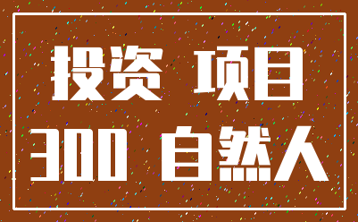 投资 项目_300 自然人
