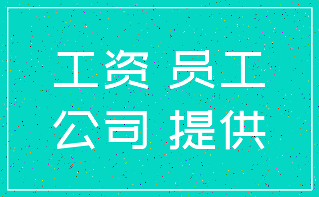 工资 员工_公司 提供