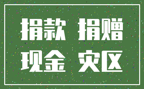 捐款 捐赠_现金 灾区