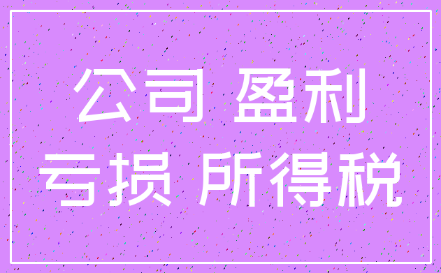 公司 盈利_亏损 所得税