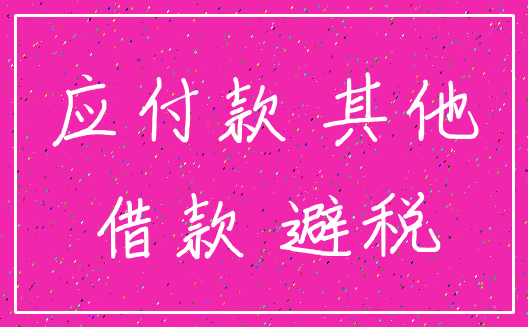 应付款 其他_借款 避税