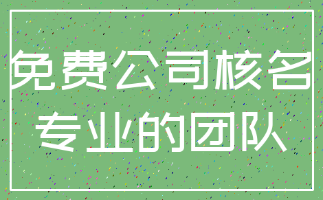 免费公司核名_专业的团队