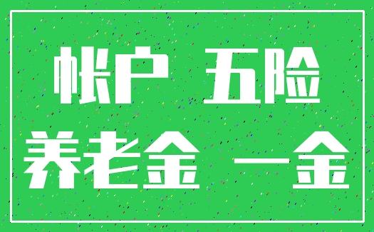 帐户 五险_养老金 一金