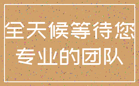 全天候等待您_专业的团队