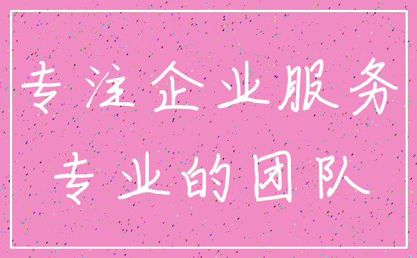专注企业服务_专业的团队
