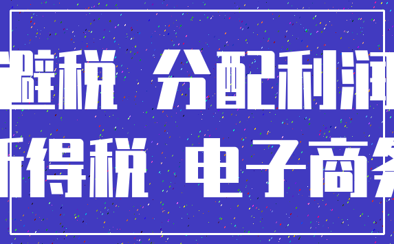 避税 分配利润_所得税 电子商务