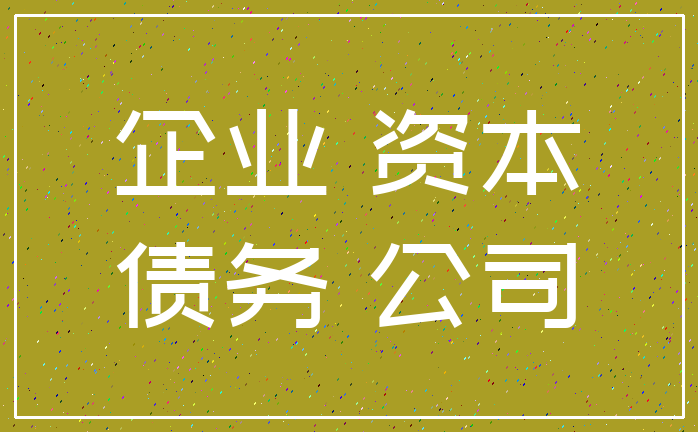 企业 资本_债务 公司