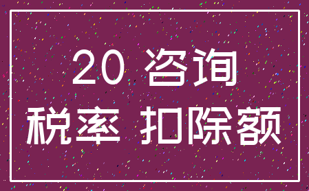 20 咨询_税率 扣除额