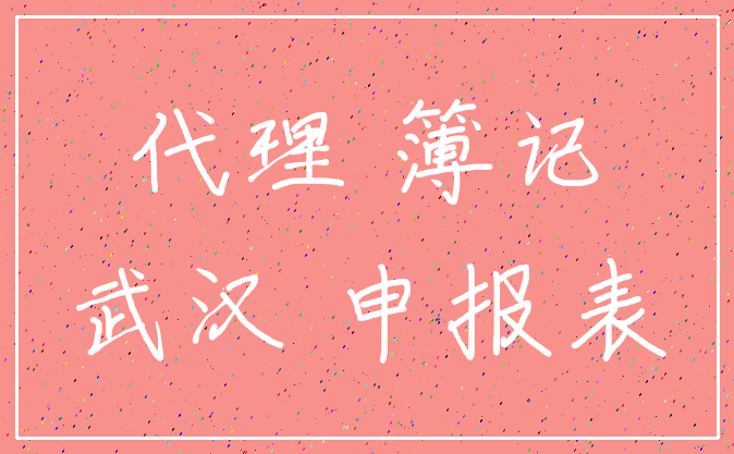代理 簿记_武汉 申报表