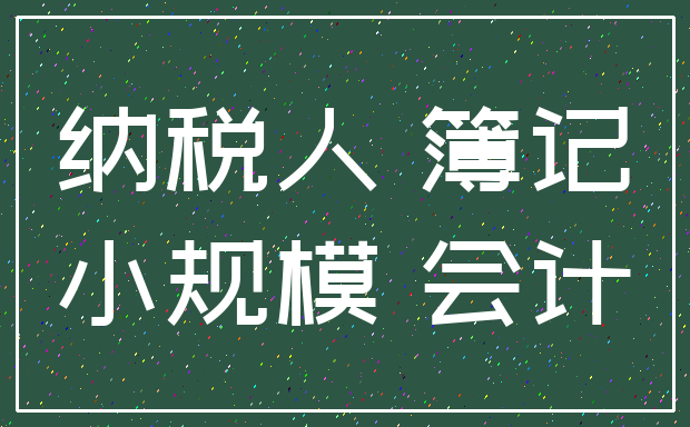 纳税人 簿记_小规模 会计