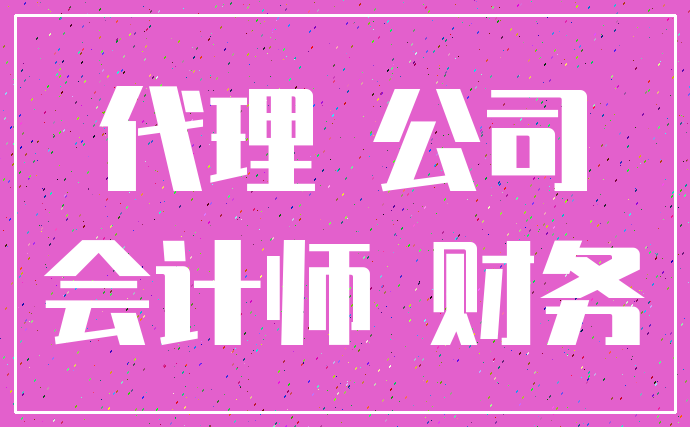 代理 公司_会计师 财务