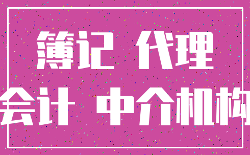 簿记 代理_会计 中介机构