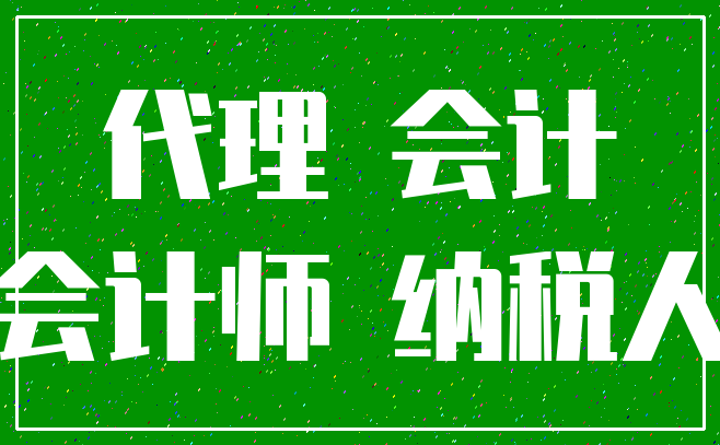 代理 会计_会计师 纳税人