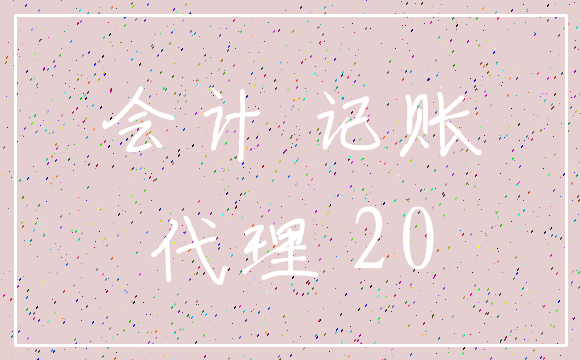 会计 记账_代理 20