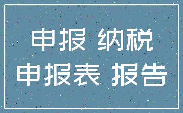 申报 纳税_申报表 报告