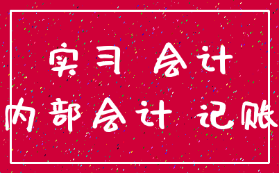 实习 会计_内部会计 记账