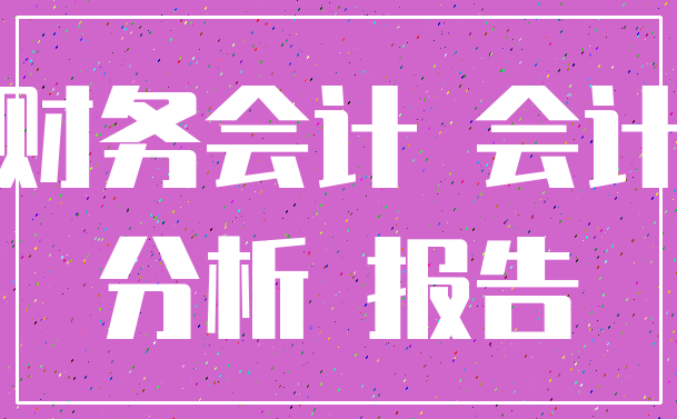 财务会计 会计_分析 报告