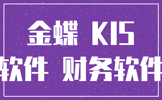 金蝶 KIS_软件 财务软件