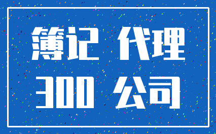 簿记 代理_300 公司