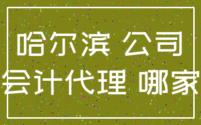 哈尔滨 公司_会计代理 哪家