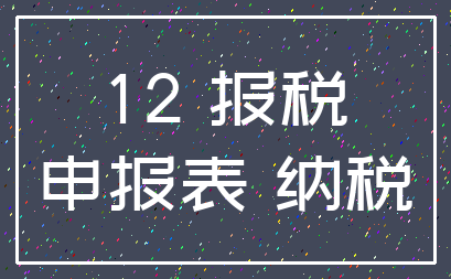 12 报税_申报表 纳税