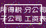 所得税 分公司_子公司 工资表