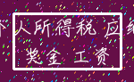 个人所得税 应纳_奖金 工资