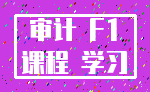 审计 F1_课程 学习