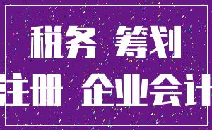 税务 筹划_注册 企业会计