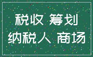 税收 筹划_纳税人 商场