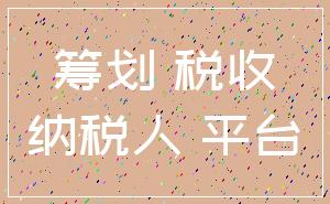 筹划 税收_纳税人 平台