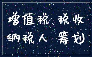 增值税 税收_纳税人 筹划