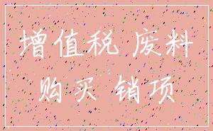 增值税 废料_购买 销项