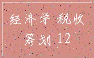 经济学 税收_筹划 12