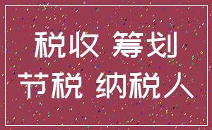 税收 筹划_节税 纳税人