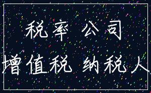 税率 公司_增值税 纳税人