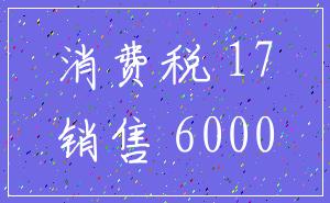 消费税 17_销售 6000