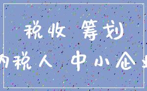 税收 筹划_纳税人 中小企业
