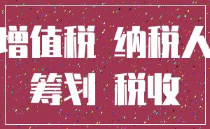 增值税 纳税人_筹划 税收