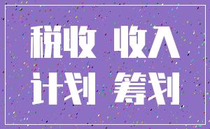 税收 收入_计划 筹划