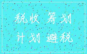 税收 筹划_计划 避税
