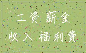工资 薪金_收入 福利费