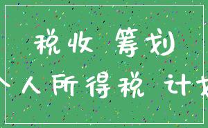 税收 筹划_个人所得税 计划
