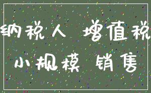 纳税人 增值税_小规模 销售