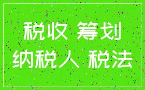 税收 筹划_纳税人 税法