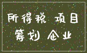 所得税 项目_筹划 企业