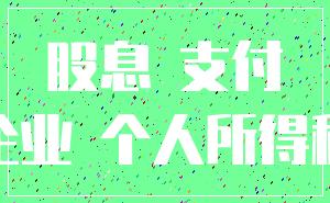 股息 支付_企业 个人所得税